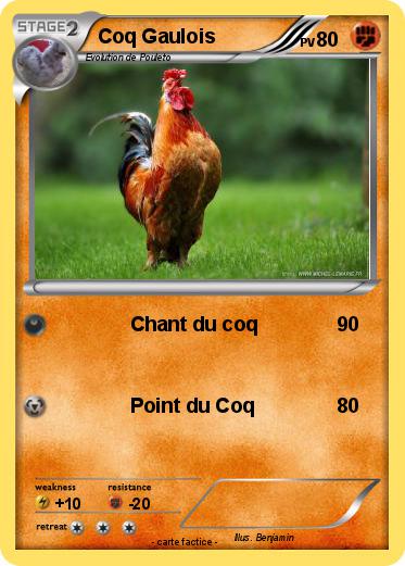 Pokemon Coq Gaulois