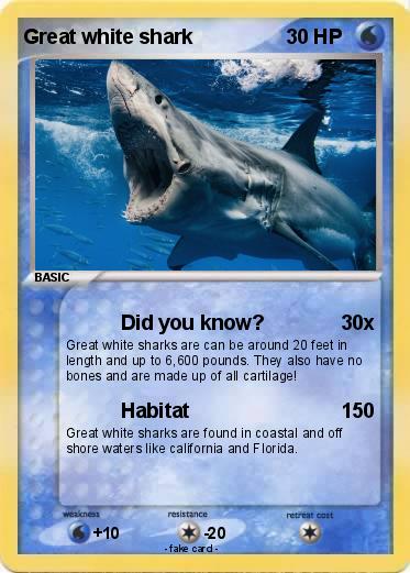Pokemon Great white shark