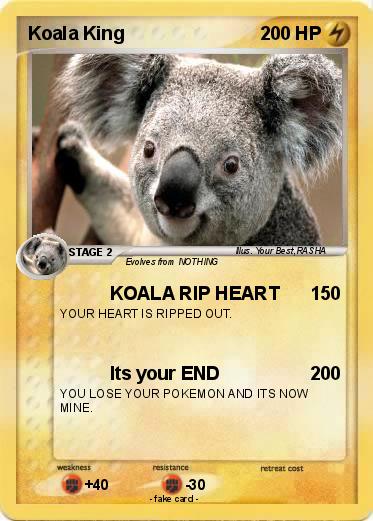 Pokemon Koala King