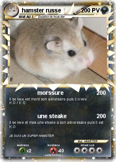 Pokemon hamster russe