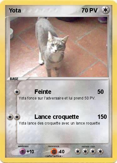 Pokemon Yota