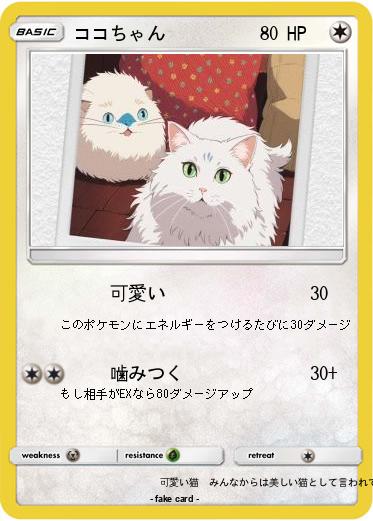 Pokemon ココちゃん