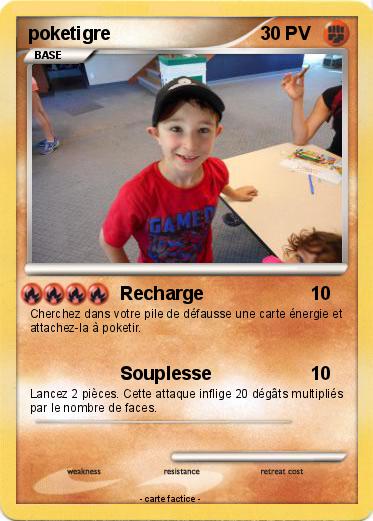 Pokemon poketigre