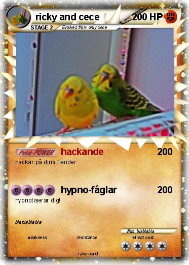 Pokemon ricky and cece