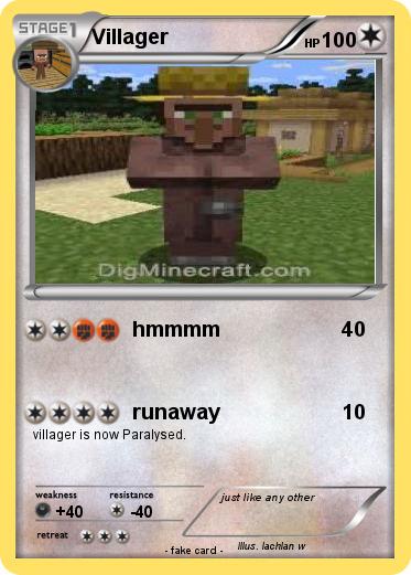 Pokemon Villager