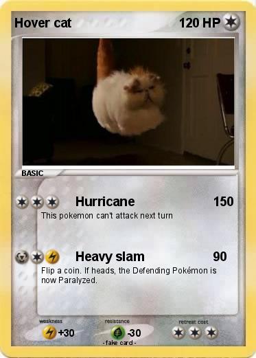 Pokemon Hover cat
