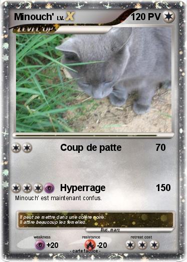 Pokemon Minouch'