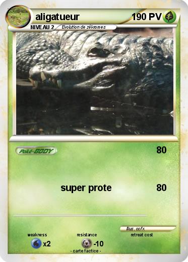 Pokemon aligatueur