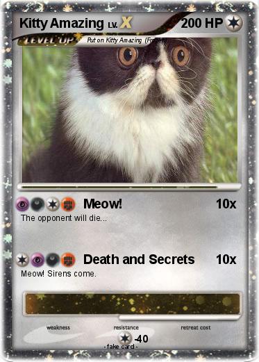 Pokemon Kitty Amazing