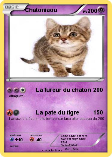 Pokemon Chatoniaou