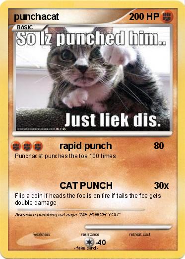 Pokemon punchacat