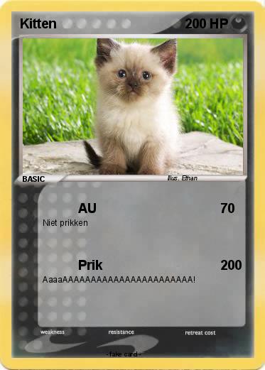 Pokemon Kitten