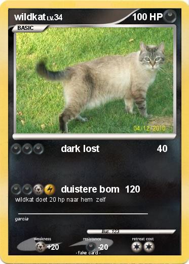 Pokemon wildkat