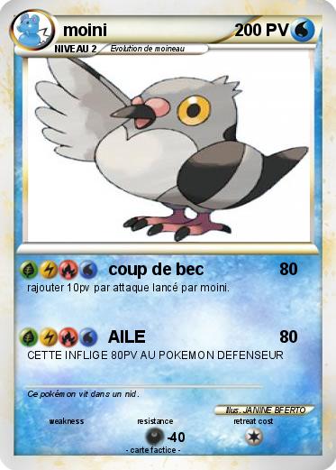 Pokemon moini