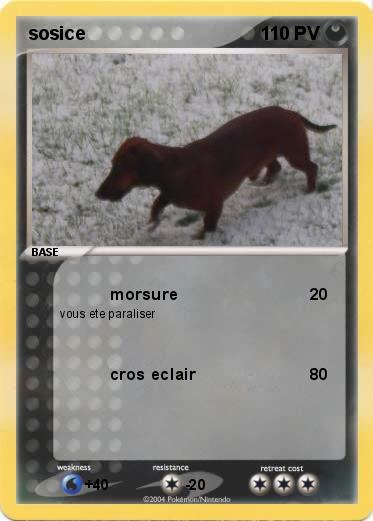 Pokemon sosice
