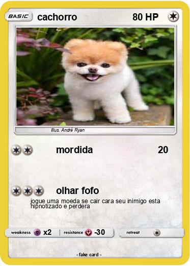 Pokemon cachorro