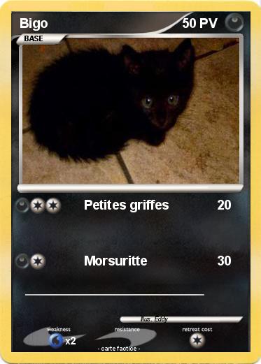 Pokemon Bigo