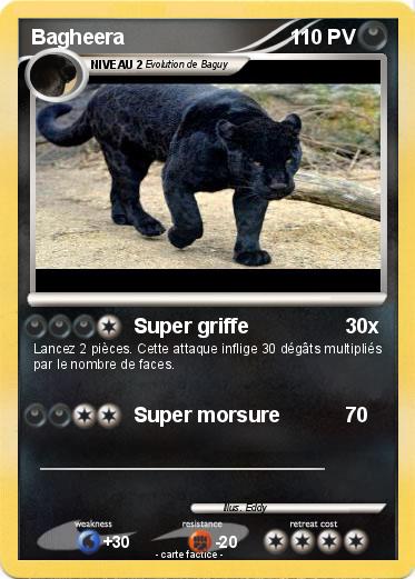 Pokemon Bagheera