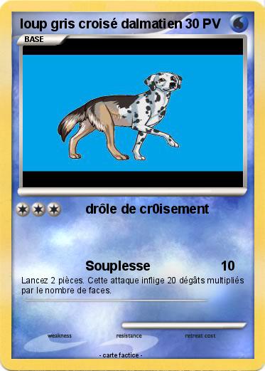 Pokemon loup gris croisé dalmatien