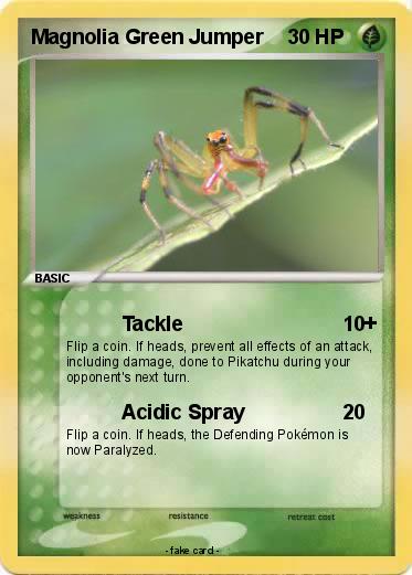 Pokemon Magnolia Green Jumper