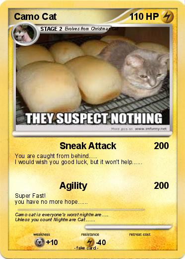 Pokemon Camo Cat