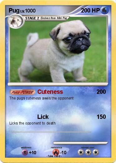 Pokemon Pug