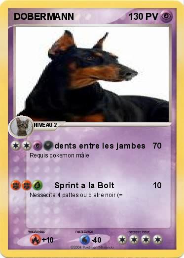 Pokemon DOBERMANN