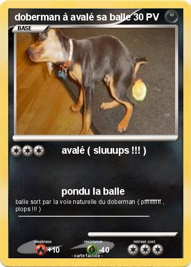 Pokemon doberman à avalé sa balle