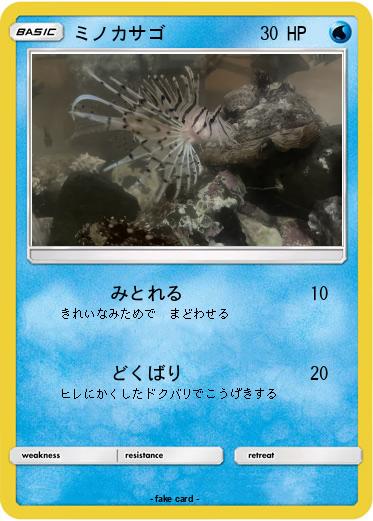 Pokemon ミノカサゴ
