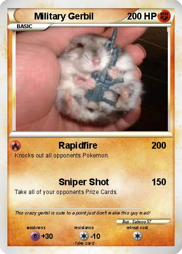 Pokemon Military Gerbil