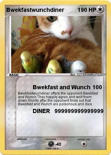 Pokemon Bwekfastwunchdiner