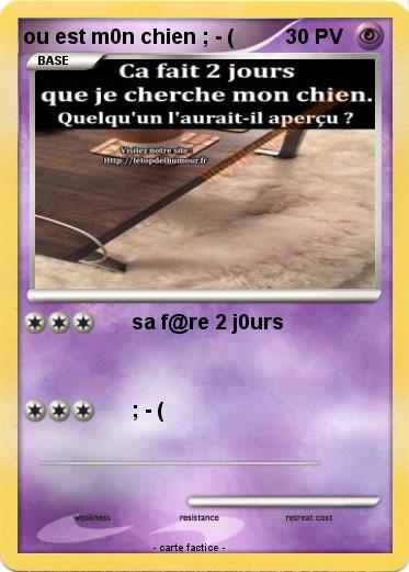 Pokemon ou est m0n chien ; - (