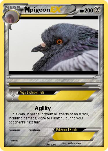 Pokemon pigeon