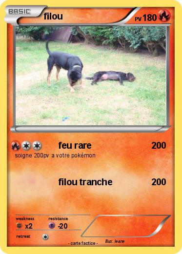 Pokemon filou