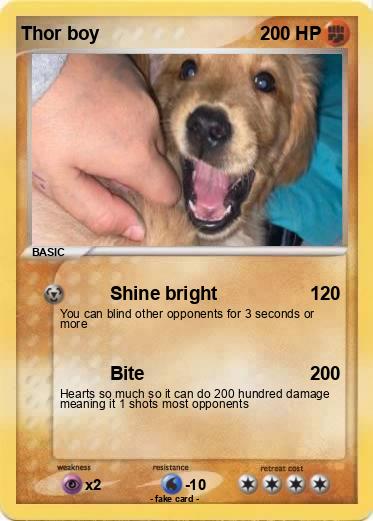 Pokemon Thor boy