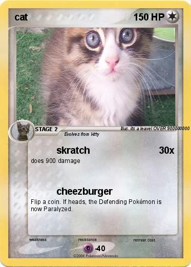 Pokemon cat