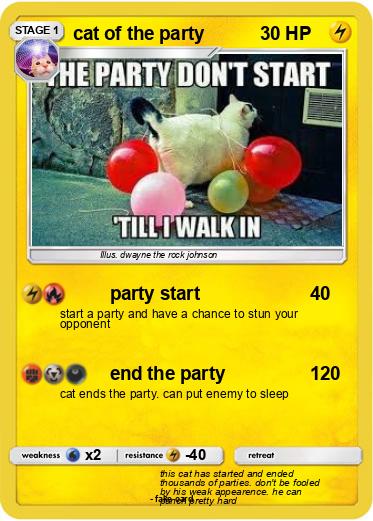 Pokemon cat of the party