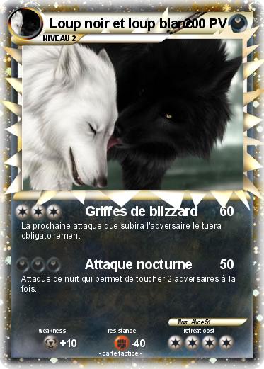 Pokemon Loup noir et loup blanc
