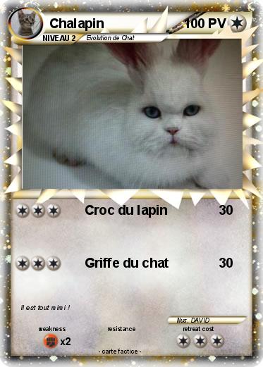 Pokemon Chalapin