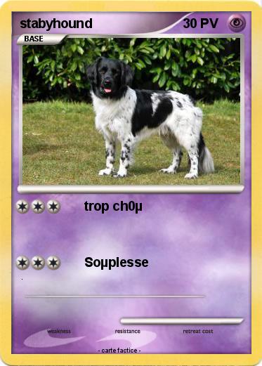Pokemon stabyhound