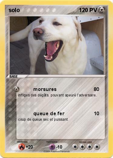 Pokemon solo