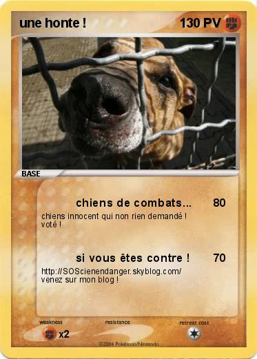 Pokemon une honte !