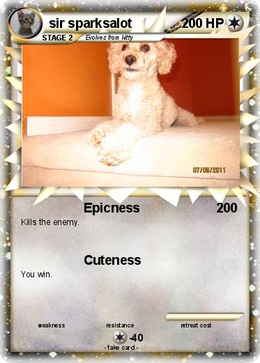 Pokemon sir sparksalot