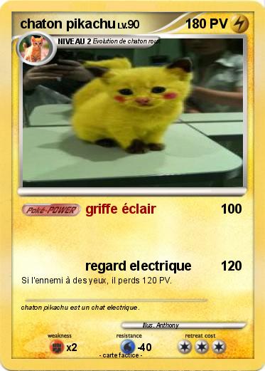 Pokemon chaton pikachu