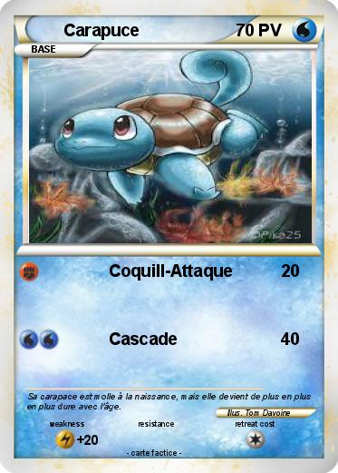 Pokemon Carapuce