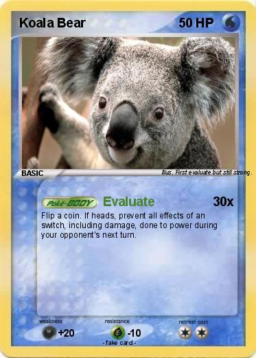 Pokemon Koala Bear