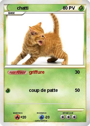 Pokemon chatti
