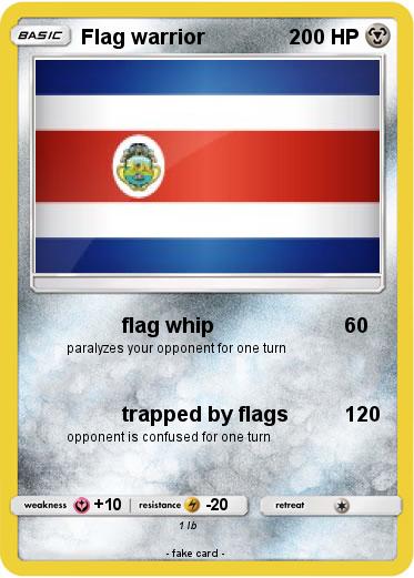 Pokemon Flag warrior