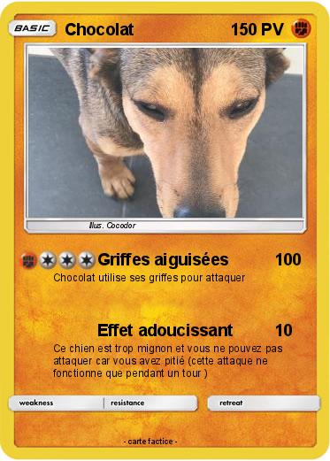 Pokemon Chocolat