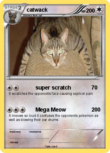Pokemon catwack